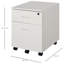 Brittani 40 cm W 2 -Drawer Filing Cabinet-85498926