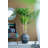 Aita Pot Planter