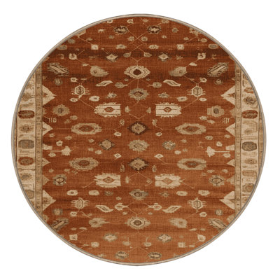 Machine Washable Overdyed Brown Area Rug