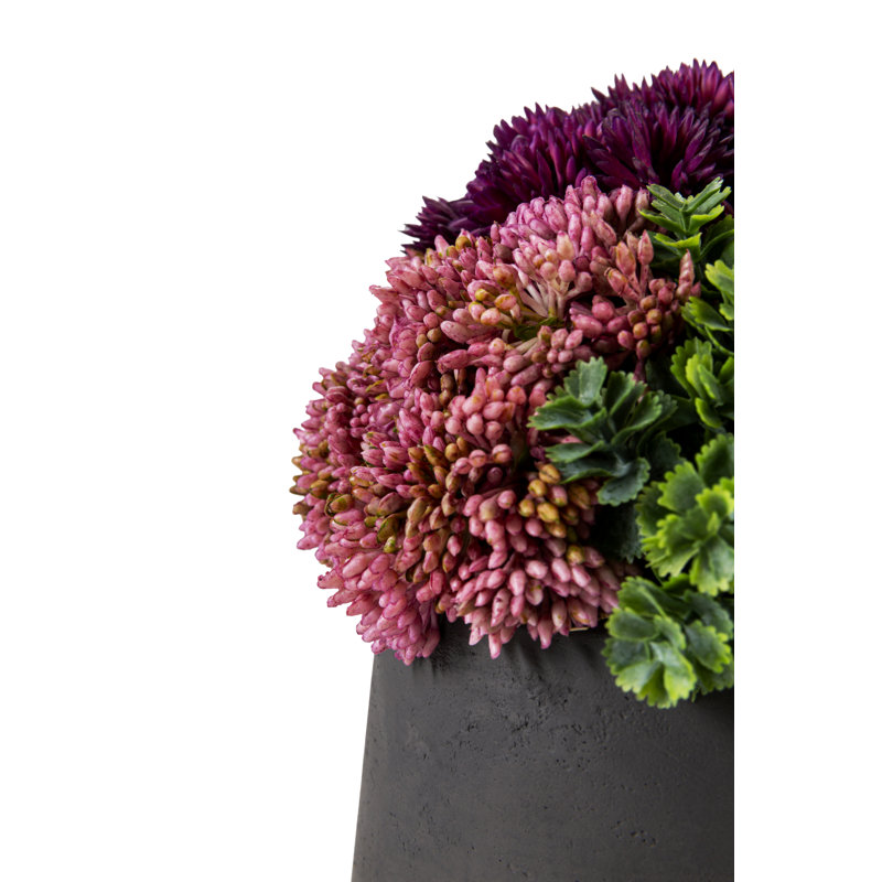 Artful Interiors Mini Sedum Arrangement
