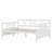 Daybed With Support Legs-1008478922