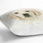 Square Cushion-56189193-71508829