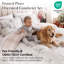 Ensemble de couette réversible de Noël « Pins givrés » de Southshore Fine Linens, en microfibre doublement brossée avec garnissage en fibres synthétiques, comprenant une couette et une taie d’oreiller, pour les fêtes. Tailles : 1 place et 1 place XL.-135741715