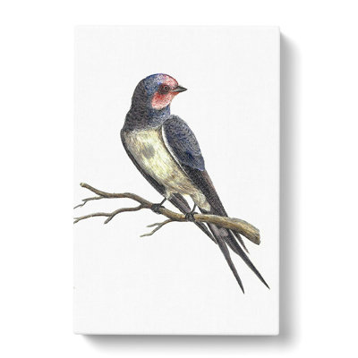 Swallow by Johan Teyler - Wrapped Canvas
