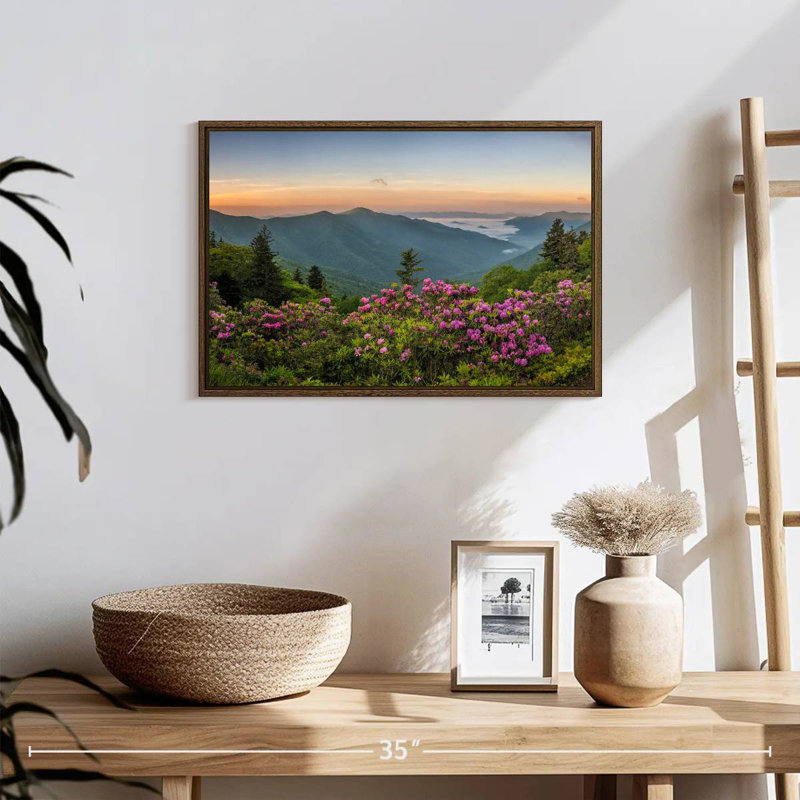 Blue Ridge Mountains View, 19" X 13", Floating Frame Walnut