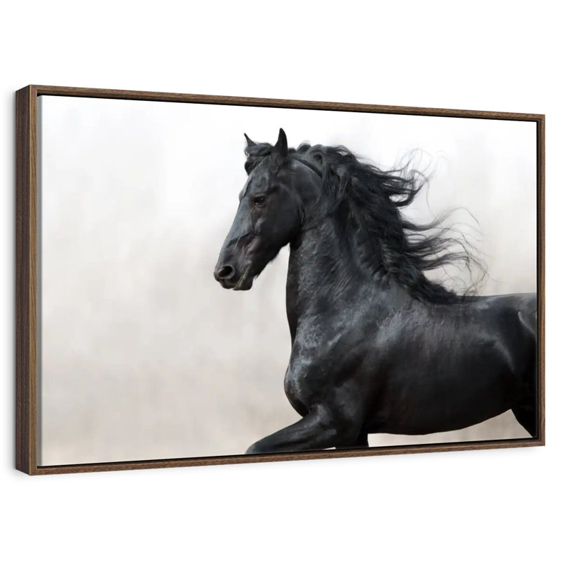 Cheval frison noir, 46 po x 31 po, Cadre flottant noyer