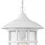 Lanterne suspendue d'extérieur à 1 ampoule H 14 po Freeport-1249365571-1249365575-1249365580