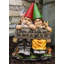Gnome de Belfonte