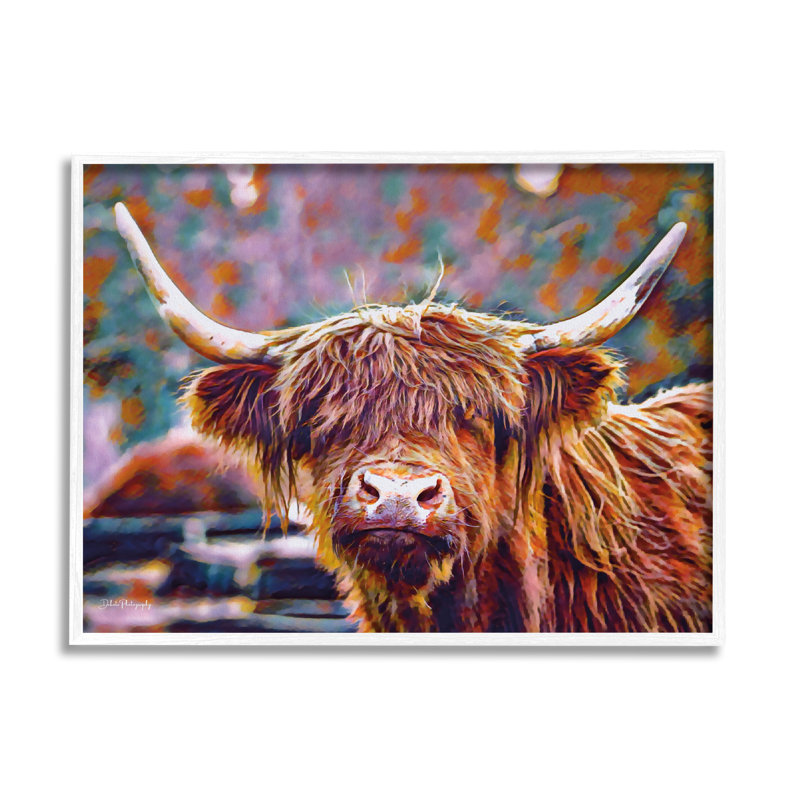 Highland Bétail moderne sur bois par Dakota Diener, photographie, H 24 po x l 30 po x P 1,5 po, Giclée encadrée noir minuit