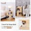 Mobilier d'intérieur multi-niveaux pour chat moderne-1097397568