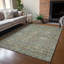 Tapis lavable à la machine intérieur / extérieur ACN2485-2048493648-2048493654