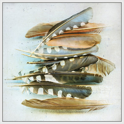 " Spotted Feather Study " Painting Print