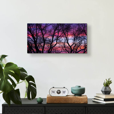 «Sunrise In The Trees» par Darren White
