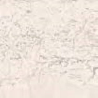 Renaissance Mojave Tile
