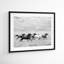 Horse Run I by PHBurchett-558661564-558661566