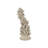 Staghorn Coral Object-117664822