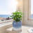 High-quality ceramic flower pots-66436087