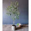 Olive artificielle, faux olivier-1655806943