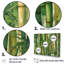 «Whispering Bamboo Geometric Patterns I», ensemble d'art mural sur toile en bambou-107739196-107739202