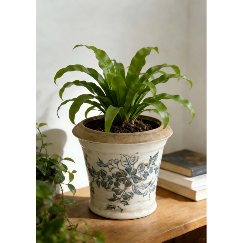 5.3X5.3X5.1" Ceramic Planter With Floral Pattern, Set Of 4