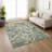 Machine Washable Indoor/Outdoor Chantille ACN2597 Abstract Rug-1539662023-1539662000