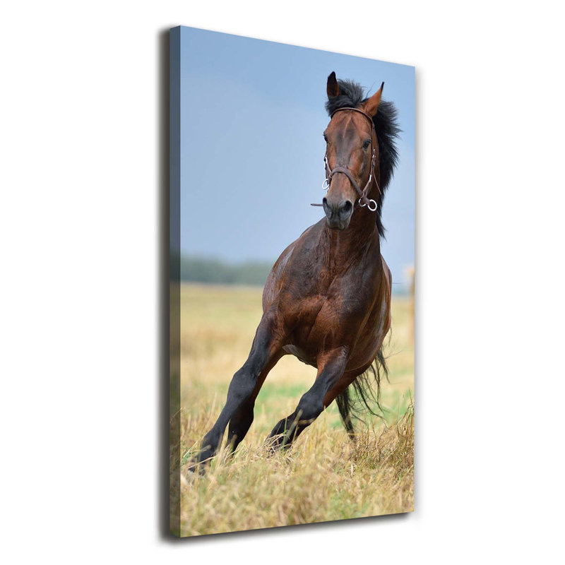 Roe - Wrapped Canvas Print