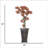 63"H Real-touch Bonsai plant