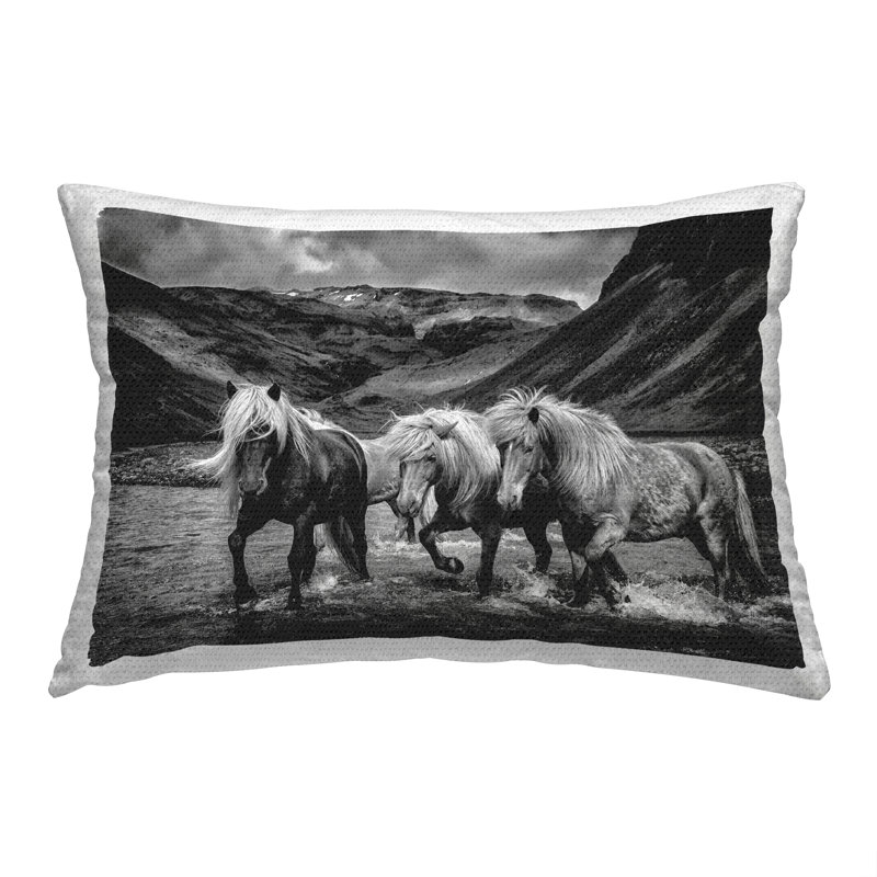 Outdoor Throw Pillow
