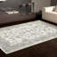 Tapis oriental argenté Hazelton-106796768
