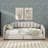 Twin XL Daybed With Integrated Compartment & Pull-Out Trundle, Upholstered Design Featuring LED Lighting-1851678025