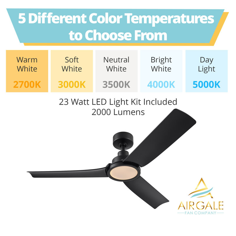 Ventilateur de plafond noir mat à 3 pales de 52 po avec télécommande, ensemble d'éclairage à DEL à intensité variable et moteur réversible Woolbright