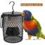 Lampe chauffante en céramique anti-brûlure abat-jour rampant pour oiseaux reptiles 50 W