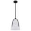 Mini-luminaire suspendu noir mat 1 lumière Whitmore