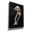 «Mystical Halloween Mushroom 2» par Mary Urban, art mural sur toile-1062803530