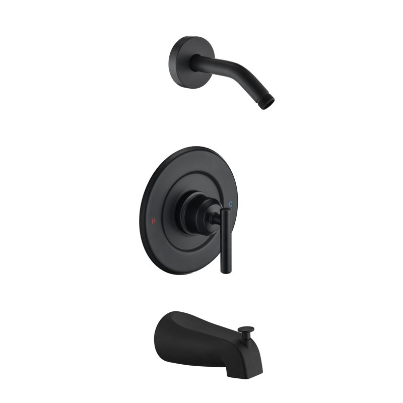 Remplacement de l'ensemble de garniture de robinet de douche, bras de douche, poignée de douche et bec de baignoire Moen