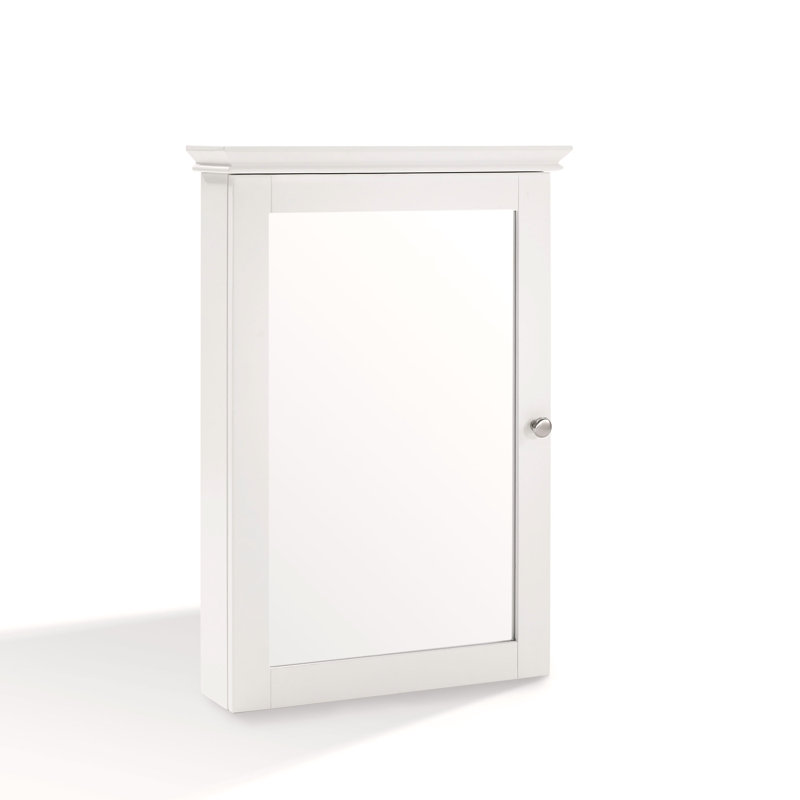 Caree 19.25 " W X 28 " H Surface Yes Medicine Cabinet with Mirror, White