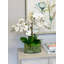 Arrangement floral orchidée en pot