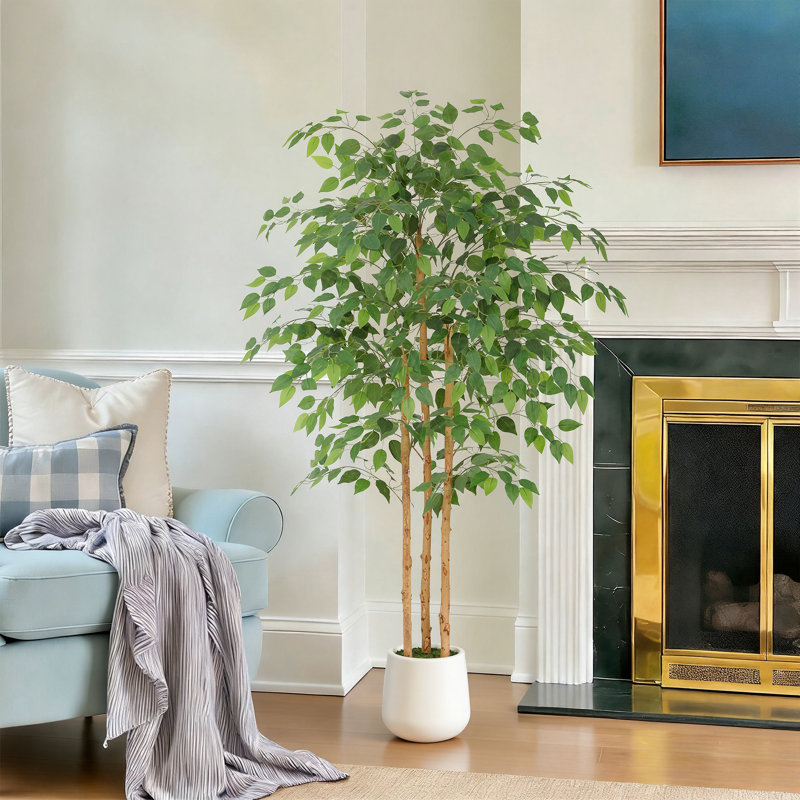 Ficus artificiel en figuier blanc en pot décoratif, plante artificielle réaliste avec bois naturel multi-troncs pour la décoration de bureau personnel
