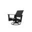 Wexler Outdoor Swivel Lounge Chair-1099678816-1102391103