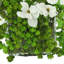 Magnolias and Succulents Arranged in Glass Vase