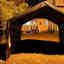Photos des clients 1 de 1