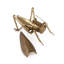 Grasshopper Accent Décor With Tray