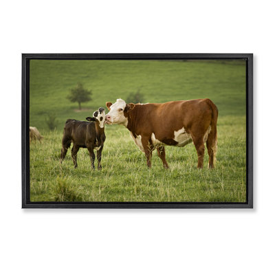 Cow & Calf Preening Floater Canvas by Marty Hulsebos