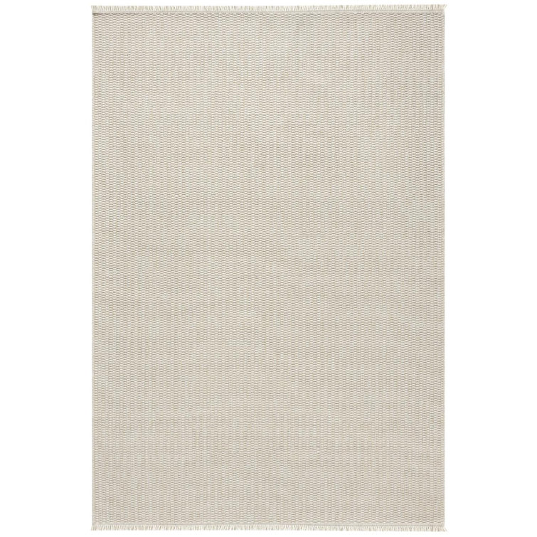 Modern Farmhouse Fringed Area Rug