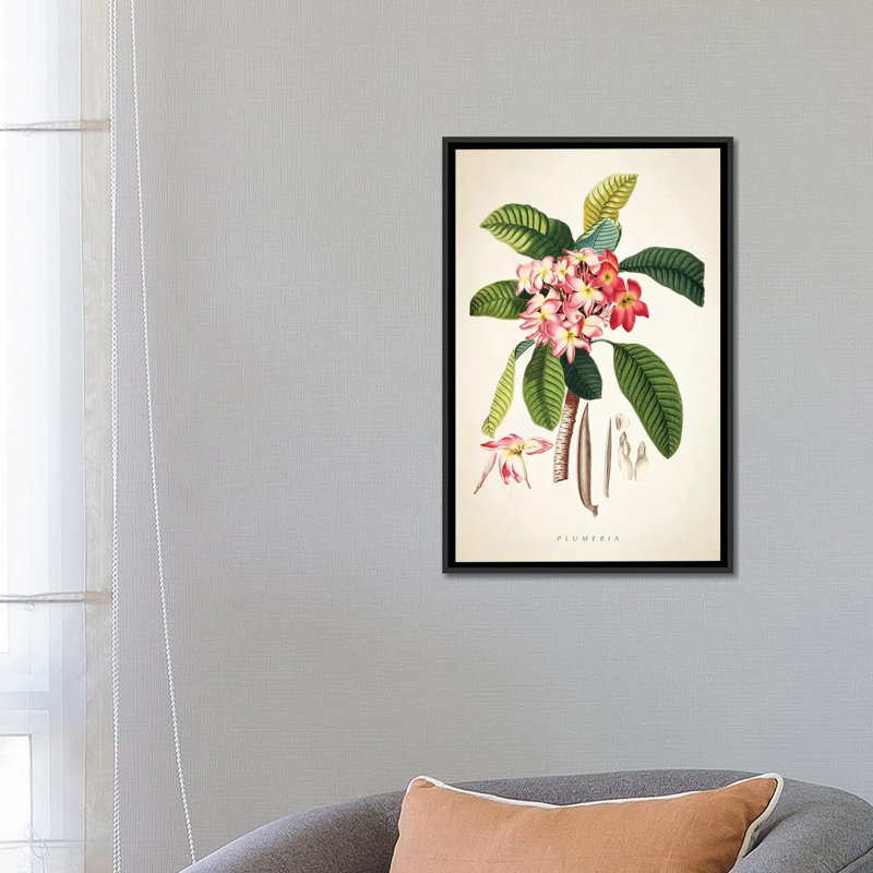 «Plumeria Botanical Print», impression sur toile, H 26 po x l 18 po x P 1,5 po, Toile encadrée noire, Pas de tapis