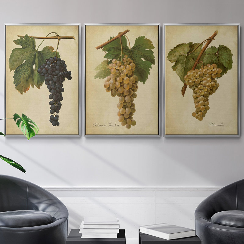 Ensemble de 3 pièces encadrées sur toile Vintage Vines II, Argent, H 40 po x l 78 po