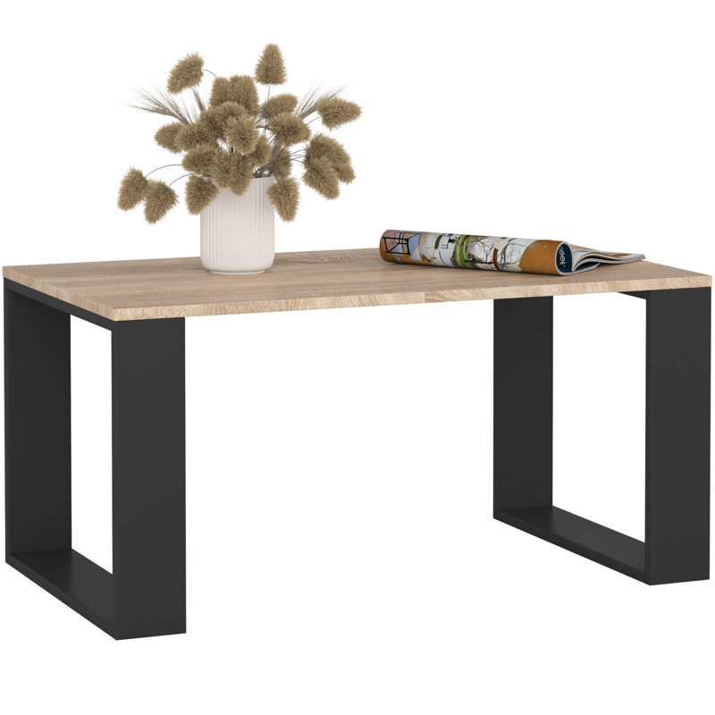 Shadiqua Coffee Table with Storage, Black