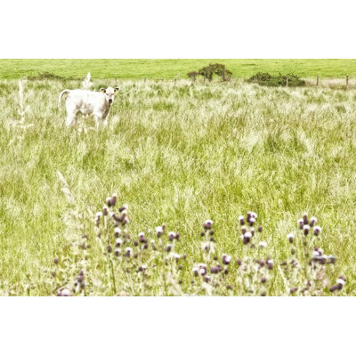 Bucolic Scene XI - Wrapped Canvas Print