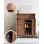 Stylish Shoe Cabinet with Brass Hooks for Entryway Organization