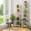 Ladder Bookcase-257918699-257918700